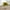 Olive Green, variant on Luxury Modern Simple Single Sofa Chair, Velvet Accent Armchair with Wrap Tufted Backrest & Golden Metal Legs, Upholstered Comfy Reading Chair for Bedroom, Vanity, Living Room, Blue