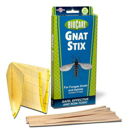 BioCare Gnat Stix Traps for Fungus Gnats and Aphids, 12 (Best Insecticide For Fungus Gnats)