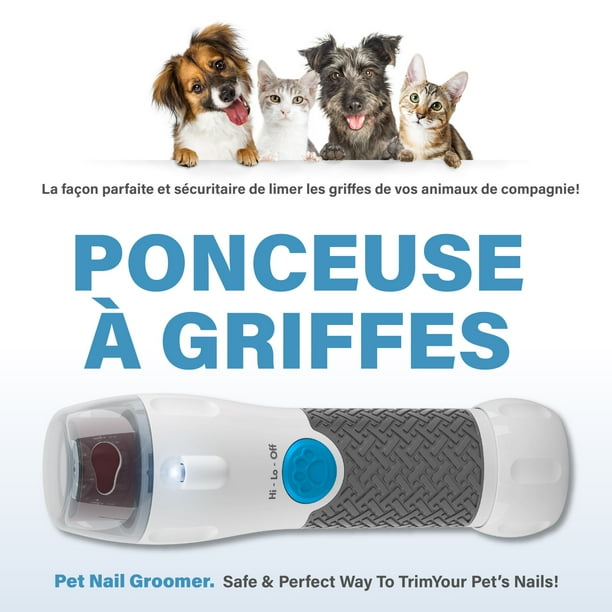 Dog Groomers Purrfect Paws Grooming Dog Groomer Spaws For Paws