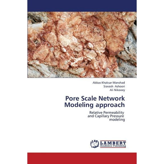 Pore Scale Network Modeling Approach (Paperback)