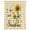 Yellow White, variant on Yellow Sunflower Waterproof Fabric Shower Curtain,Summer Vintage Flower Bee Sunshine Waterproof Fabric Shower Curtain for Bathroom Curtains Bathtubs Hotel Shower Curtains with 12 Hooks Stall 48x72in