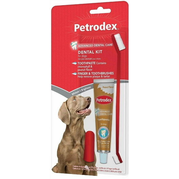 5 Pack Sentry Petrodex Dental Kit for Dogs Peanut Butter Flavor [Dog Dental Care, Dog Dental Care, Dog Dental Care, Bulk Dog Supplies, Sentry] 5 count