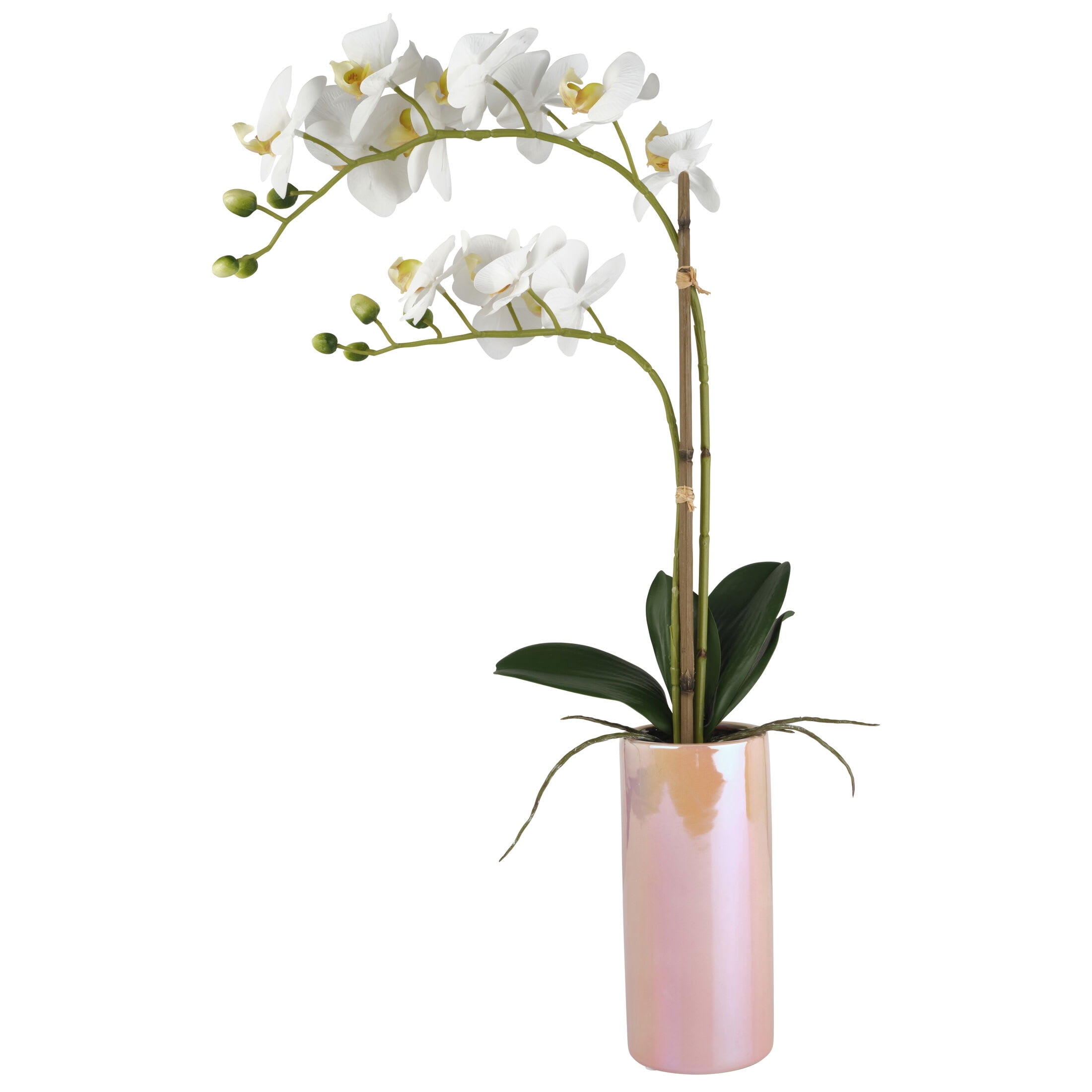 Dolly Parton 24 in Real Touch Artfcial White Orchid