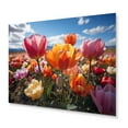 thumbnail image 2 of Designart "Tulips landscapes Of Color IV" Floral Metal Wall Art Prints, 2 of 5