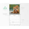thumbnail image 2 of 2024-12 Month Hanging Wall Calendar-Little & Loveable-12x12 by Dayspring, 2 of 5