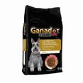 thumbnail image 2 of Alimento para Perro Ganador Premium Senior 10kg, 2 of 6