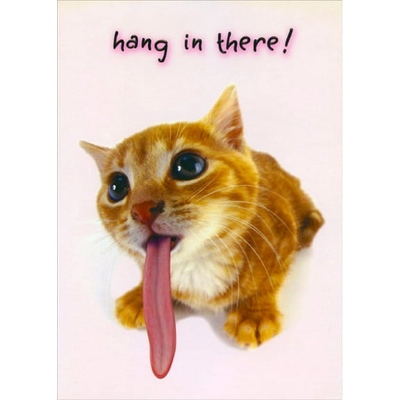 Designer Greetings Kitten with Long Tongue : Hang in There Funny : Humorous Cat Birthday Card
