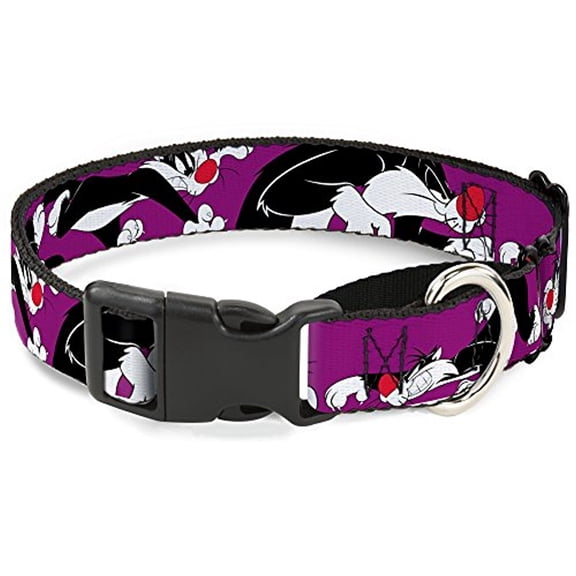 buckle down looney tunes pet dog collar