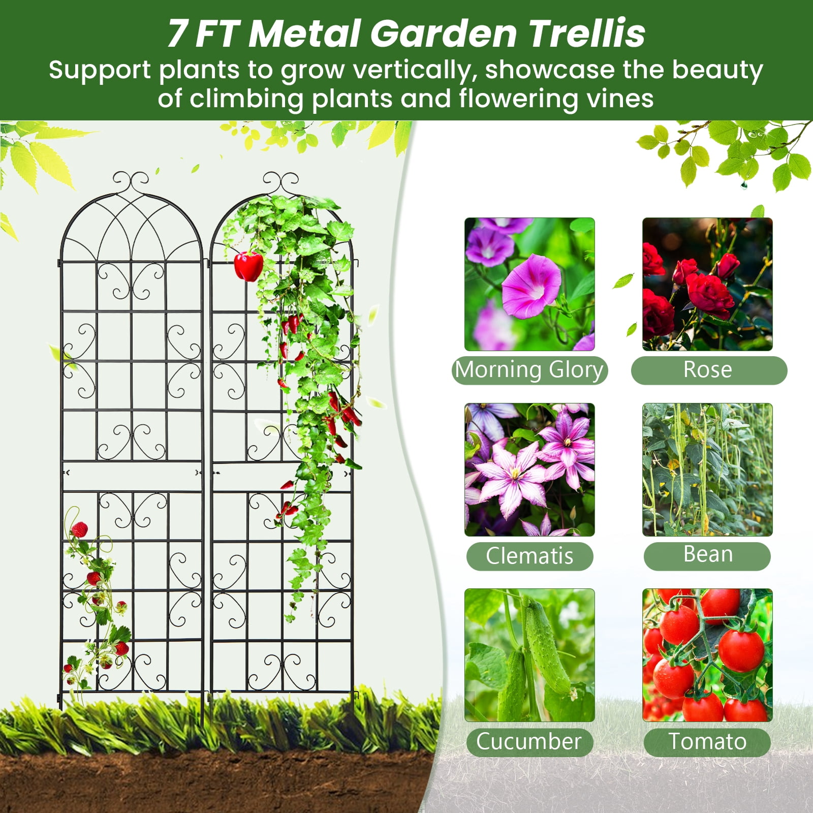 Patiojoy Metal Garden Trellis for Climbing Plants 2 Pack Fence Trellis Panels 87�� Tall Retro Style Cucumber Trellis