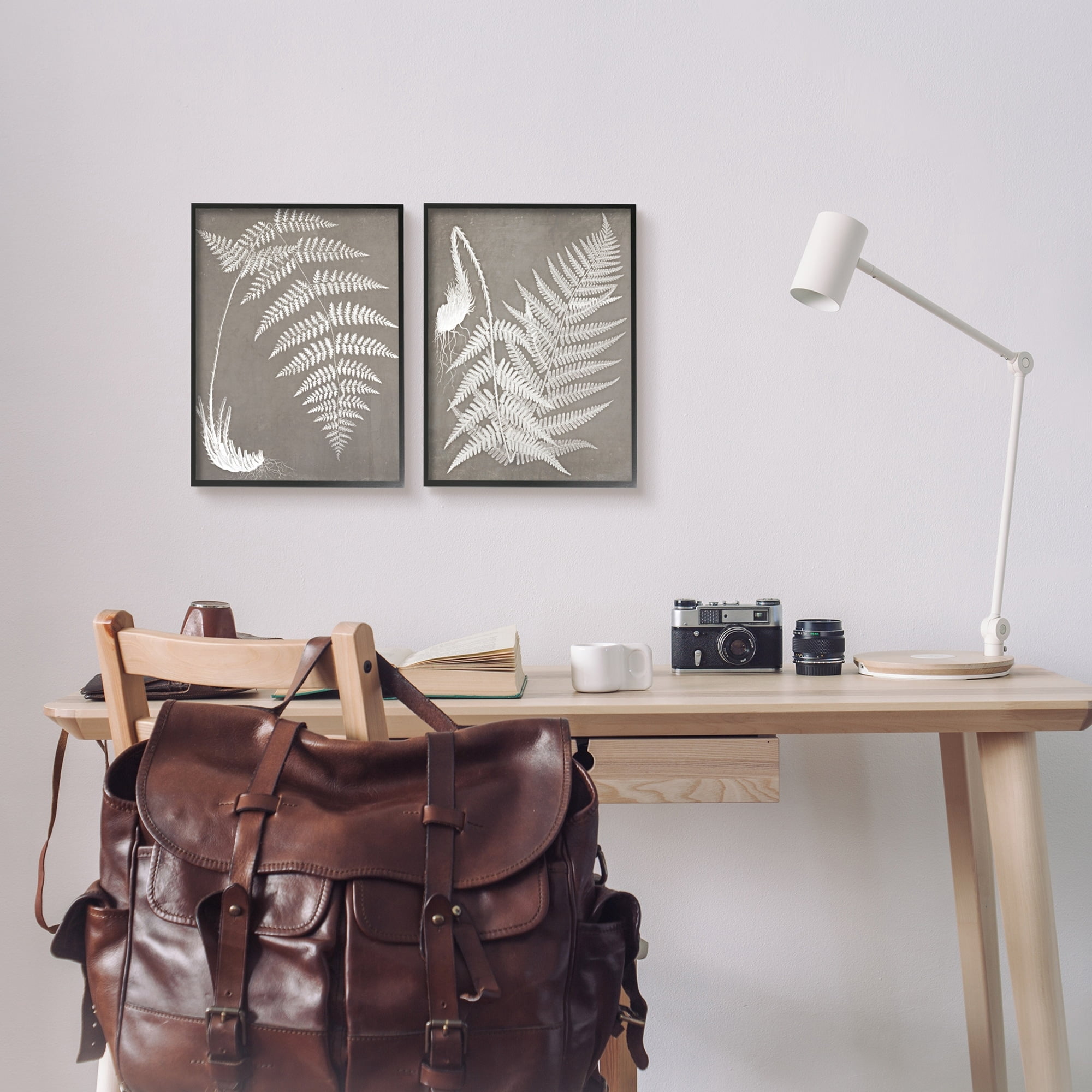 Stupell Industries Detailed Fern Plant White Botanical Herb Roots Graphic Art Black Framed Art Print Wall Art, Set of 2, Design by Graffitee Studios