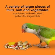 Kaytee Fiesta Big Bites Small Parrot & Conure Food 4 Pounds