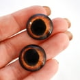 thumbnail image 5 of Puppy Dog Inspired Eyes Collection Bundle Set of 10 Eyes - Bulk Wholesale - Taxidermy Art Sculptures or Jewelry Making Supply, 5 of 8