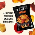 thumbnail image 3 of TERRA Original Sea Salt Vegetable Snack Chips, 1.5 oz, 3 of 8