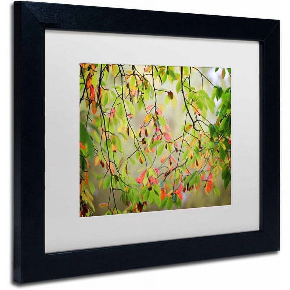 Trademark Fine Art "Leaves in the Wind" Canvas Art by Philippe Sainte-Laudy, White Matte, Black Frame