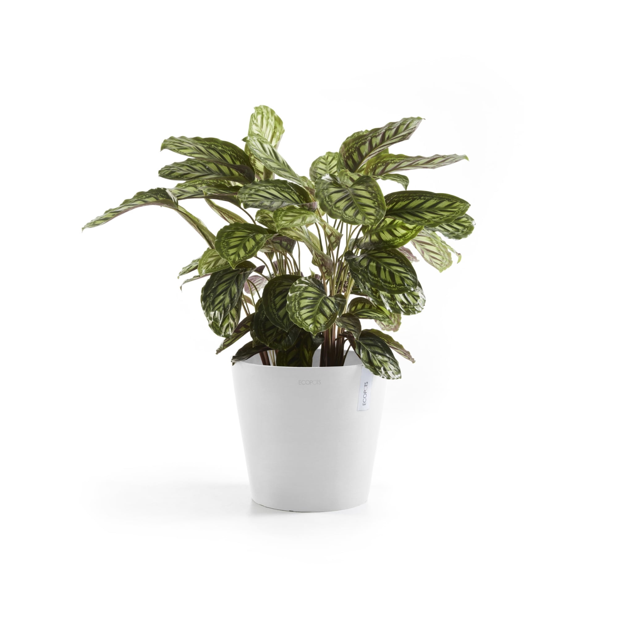 Ecopots 10" x 9.75" Round White Plastic Plant Planter with Drainage Holes