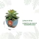 thumbnail image 2 of 3 uds simulación suculentas bonsái decoración creativa flor mesa de comedor plantas de interior plantas verdes en macetas, 2 of 5