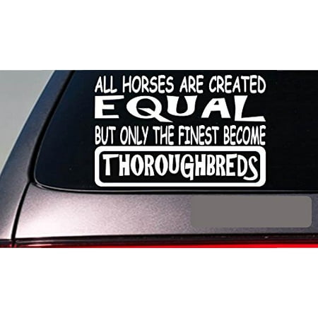 Thoroughbreds all horses equal 6