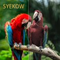 thumbnail image 2 of Cabezal de Impresión Inkjet SYEKOW GT53 X4E75A M0H50A Paquete Combo, 2 of 6