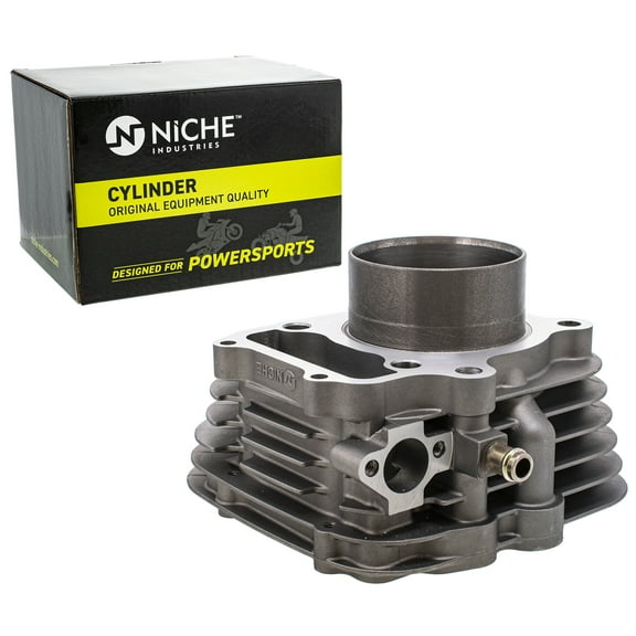 Niche 300cc Engine Cylinder 74mm for Honda Sportrax 300 TRX300X 12100-HM3-L00 519-CCY2256L