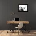 thumbnail image 4 of Deiter, Lori 24x19 Black Modern Framed Museum Art Print Titled - Highland Cow, 4 of 5