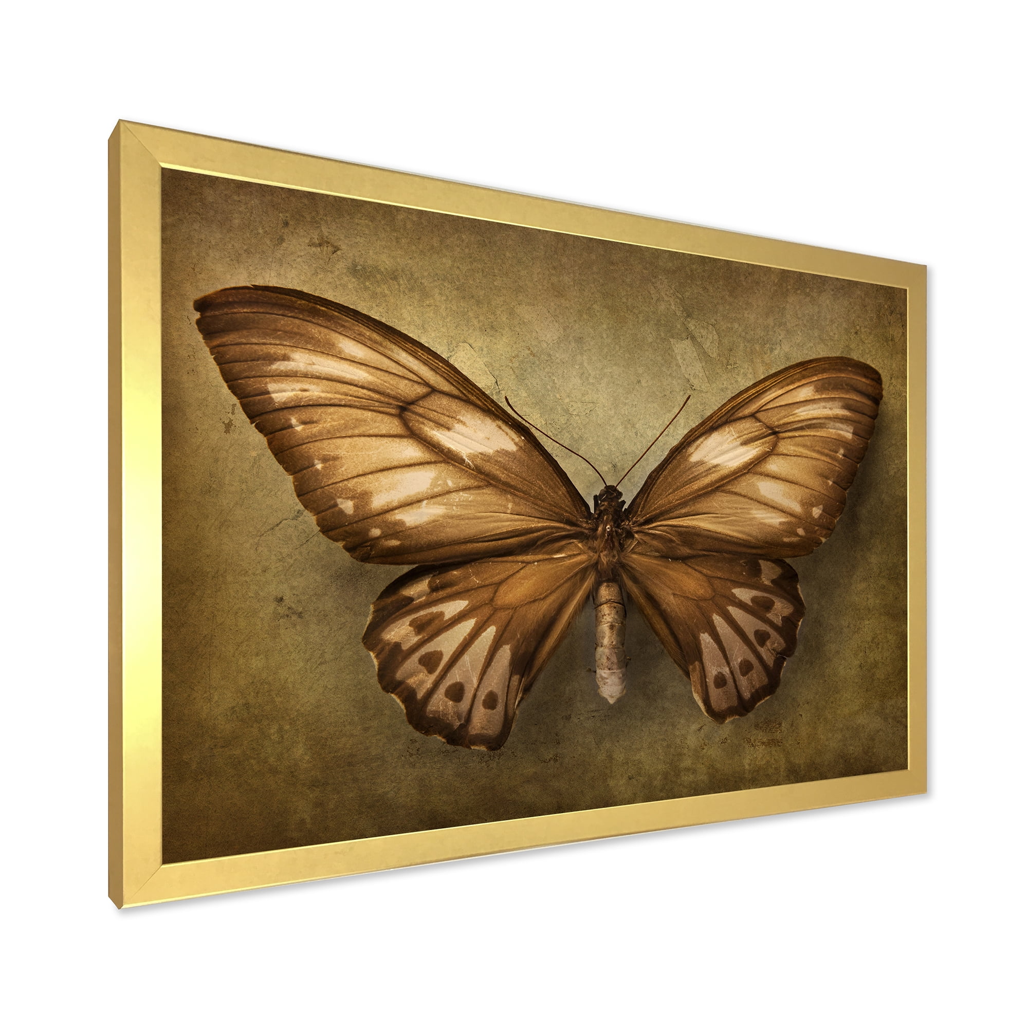 Designart 'Ancient Butterfly In Earth Tones' Vintage Framed Art Print