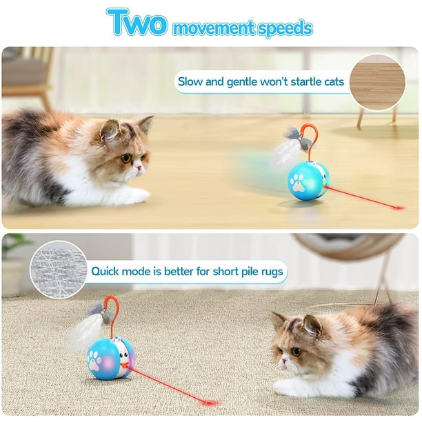 Robot LED interactif à plumes pour chats - Petits Compagnons