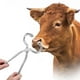 thumbnail image 4 of Clip De Fórceps Nasales Para Ganado, Alicates De Clip Nasal Para Ganado De Alta Resistencia A La Corrosión, Granja De Principio De Doble Palanca Para El Hogar De Animales De Amonsee Livestock Nose Plier, 4 of 8