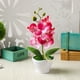 thumbnail image 5 of Gwong Decoración hogareña Florería artificial Phalaenopsis Bonsai Ornament Balcany Home Landscape Decor Gwong 21058929, 5 of 7
