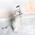 thumbnail image 4 of 5 Pcs Jouet Interactif pour Chaton badminton Jouet à Mâcher Sûr et Sain pour Chaton, 4 of 5