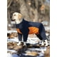 thumbnail image 1 of 1pc Green Plus Velvet Dog Clothes Corgi Winter Warm Coat For Medium And Large Dogs, Suitable For Outdoor And Indoor Wear, 1 of 4