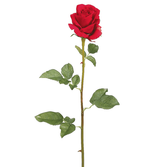 Park Place - 12 Piece French Rose Stem 28" Red