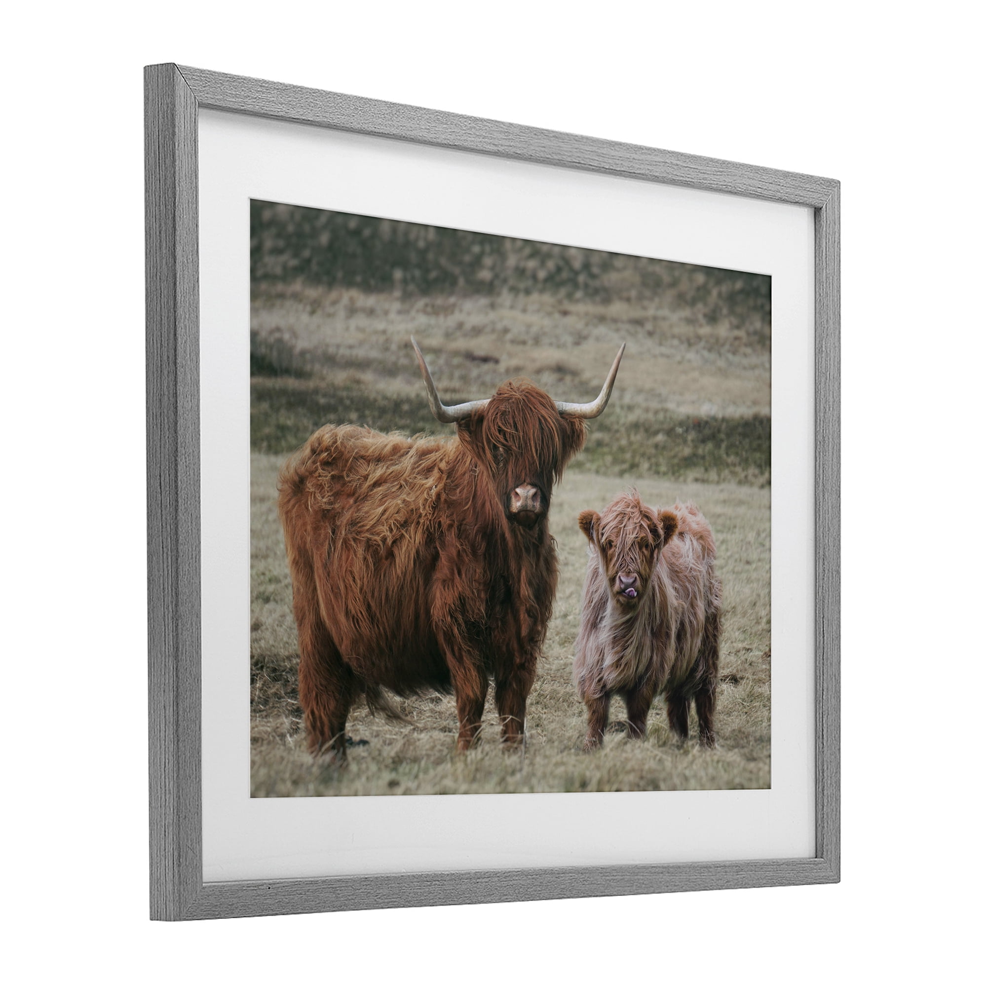 Mom & Baby Cow Gray Framed Print Under Glass, design by Lettered and Lined