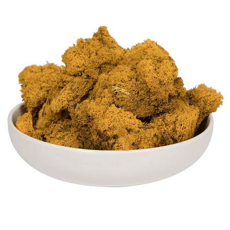 

2 lbs Reindeer Moss Aspen Gold