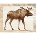 thumbnail image 3 of Vess, June Erica 14x12 Black Modern Framed Museum Art Print Titled - Rustic Barnwood Animals I, 3 of 5