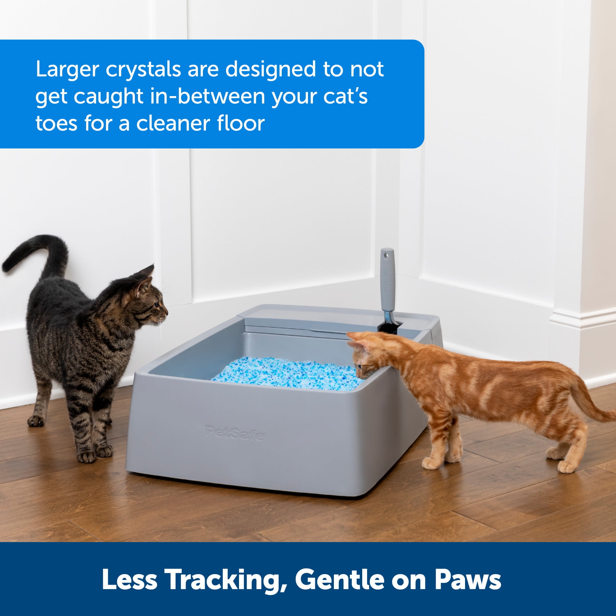 PetSafe ScoopFree Premium Blue Crystal Cat Litter, Non-Clumping, 2-Pack - 2