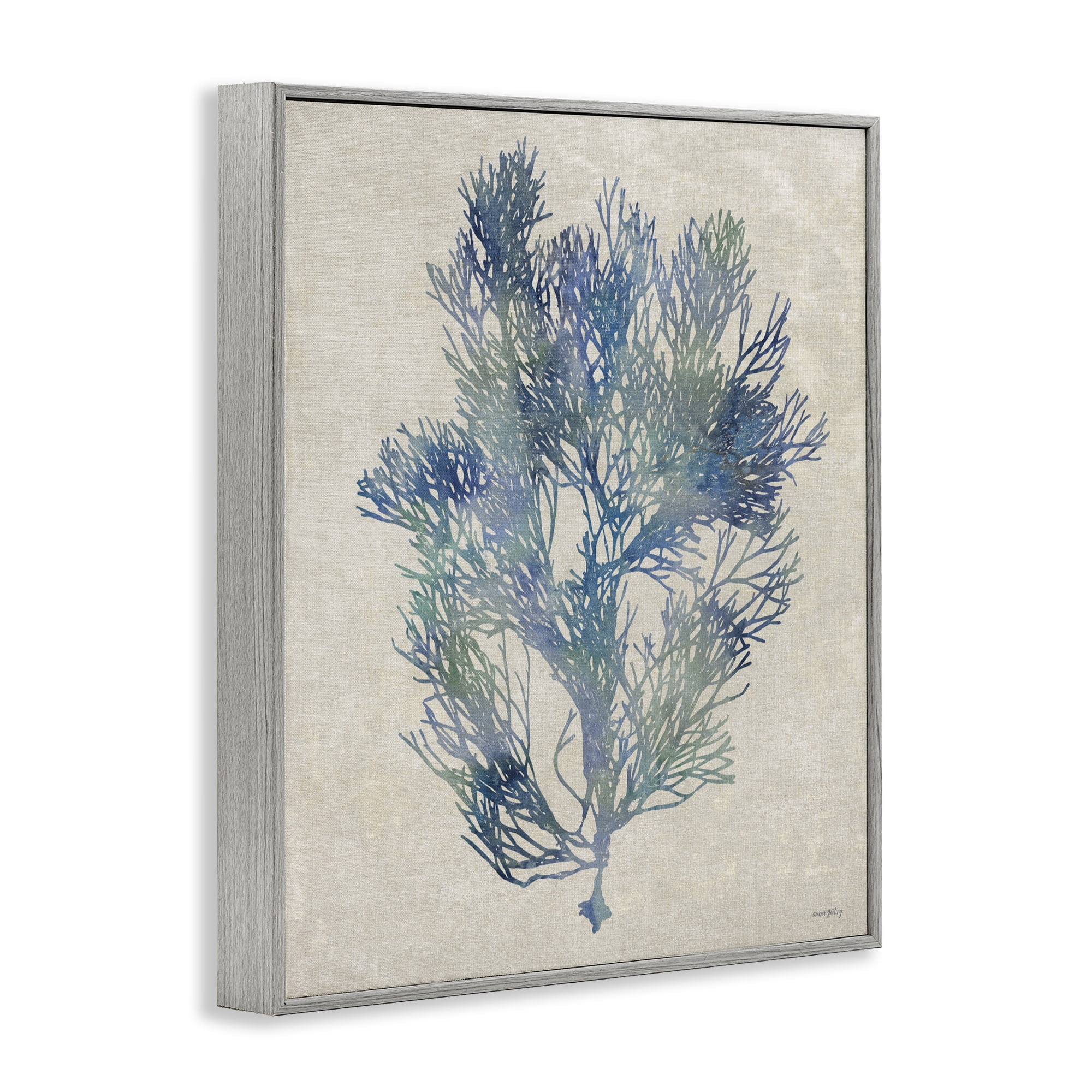 Stupell Industries Misty Blue Coral Study Gray Framed Giclee Art, design by Amber Sterling