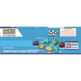 Sonic Fruit Flavored Snacks, Treat Pouches, Value Pack, 22 ct