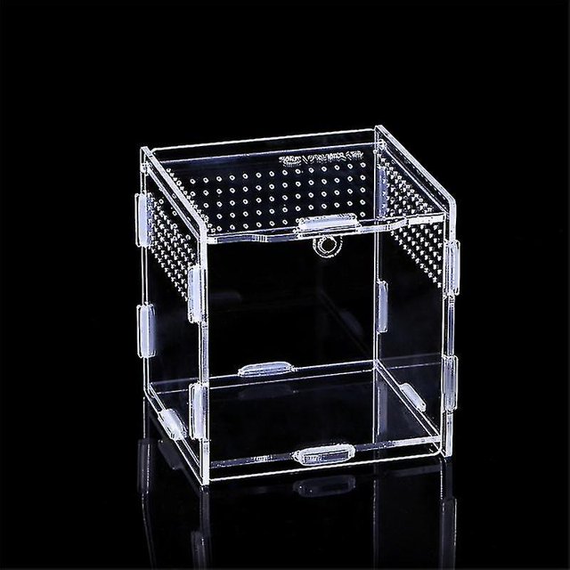 Caja de alimentación para reptiles, contenedores acrílicos para terrario, para araña, lagarto, Rana, escarabajo