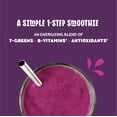 Blender Bites 1Step Frozen Power Berry Smoothie, 12.7 oz