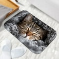 thumbnail image 5 of 1pc Sleeping Cat Absorbent Non-Slip Bathroom Thickened Flannel Rug Decor,Soft,Quick Drying,Suitable For Indoor/outdoor Use,Bathrooms,Bedrooms,Kitchens,Terrace,Laundry Rooms,16"x24", 5 of 9