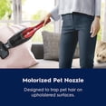 thumbnail image 6 of Electrolux Ergorapido Pet Cordless 2-in-1 Vacuum for Pet Hair Removal, 6 of 14