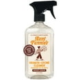 thumbnail image 2 of (2 pack) Aunt Fannie's Granite and Stone Spray Cleaner, 16.9 oz, 2 of 7