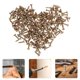 thumbnail image 1 of LITINKIMI 200Ud Tornillos Autorroscantes Para Drywall Y Fibra Con Acabado Zinc Dorado, 1 of 6