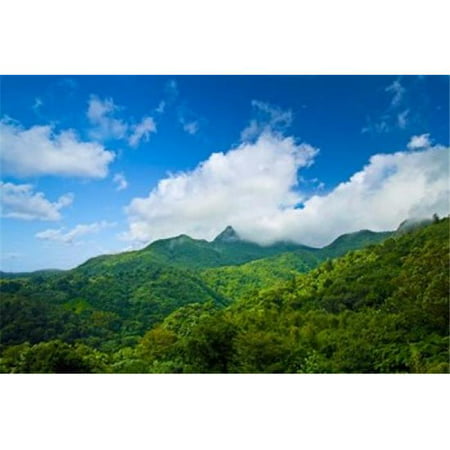 Posterazzi PDDCA27MGL0043 Puerto Rico El Yunque National Forest Rainforest Poster Print by Miva Stock - 22 x 15