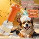 thumbnail image 2 of Máquina eléctrica de espuma para ducha para mascotas en forma de hongo, naranja, 2 of 6