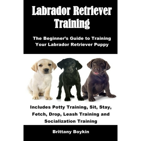 Labrador Retriever Training: The Beginner's Guide to Training Your Labrador Retriever Puppy: Includes Potty Training, Sit, Stay, Fetch, Drop, Leash Training and Socialization Training