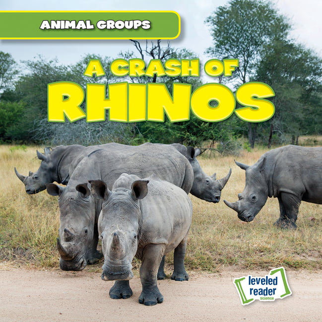 Animal Groups: A Crash of Rhinos (Hardcover) 