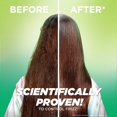 thumbnail image 4 of Set para el cuidado del cabello Garnier Fructis Sleek & Shine con aceite de argán Garnier NA, 4 of 4