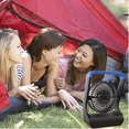 View all media