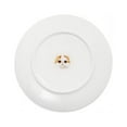 thumbnail image 7 of Pet Portrait White Porcelain Middle Print 8" Plate Set - I Love Exotic Shorthair, 7 of 7